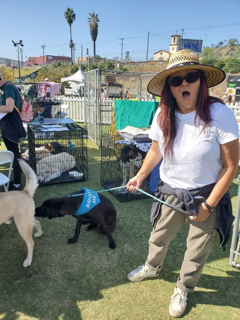 Miles Smiles thumbnail 5