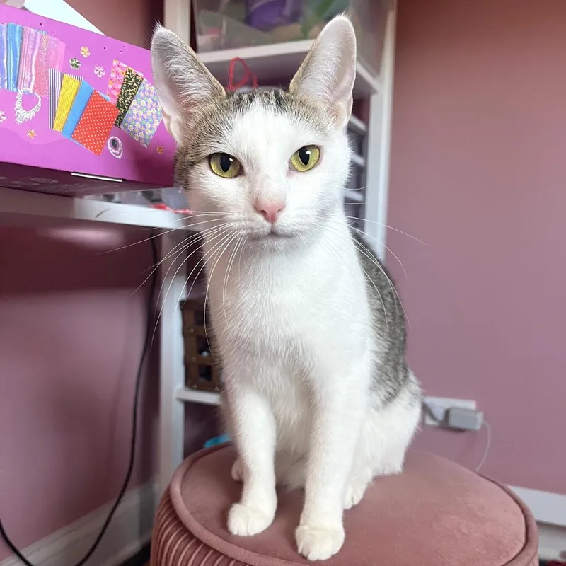 Valentina thumbnail 2