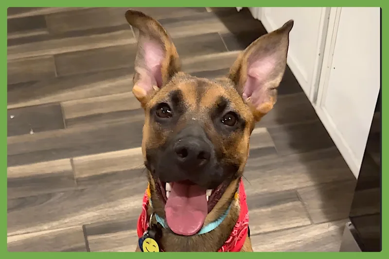 Gigi thumbnail 4