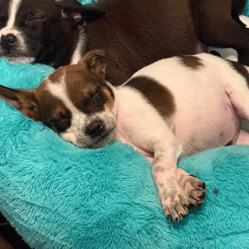 Dropping thumbnail 3