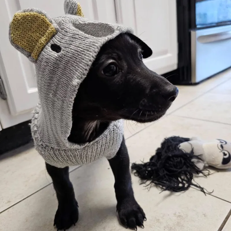 Judd Nelson B thumbnail 2