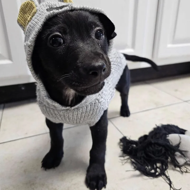 Judd Nelson B thumbnail 3