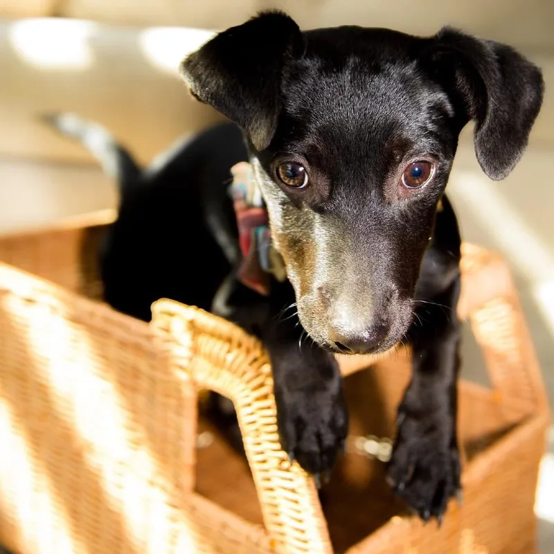 Judd Nelson B thumbnail 4