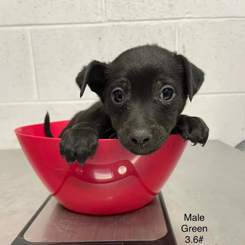 Judd Nelson B thumbnail 5