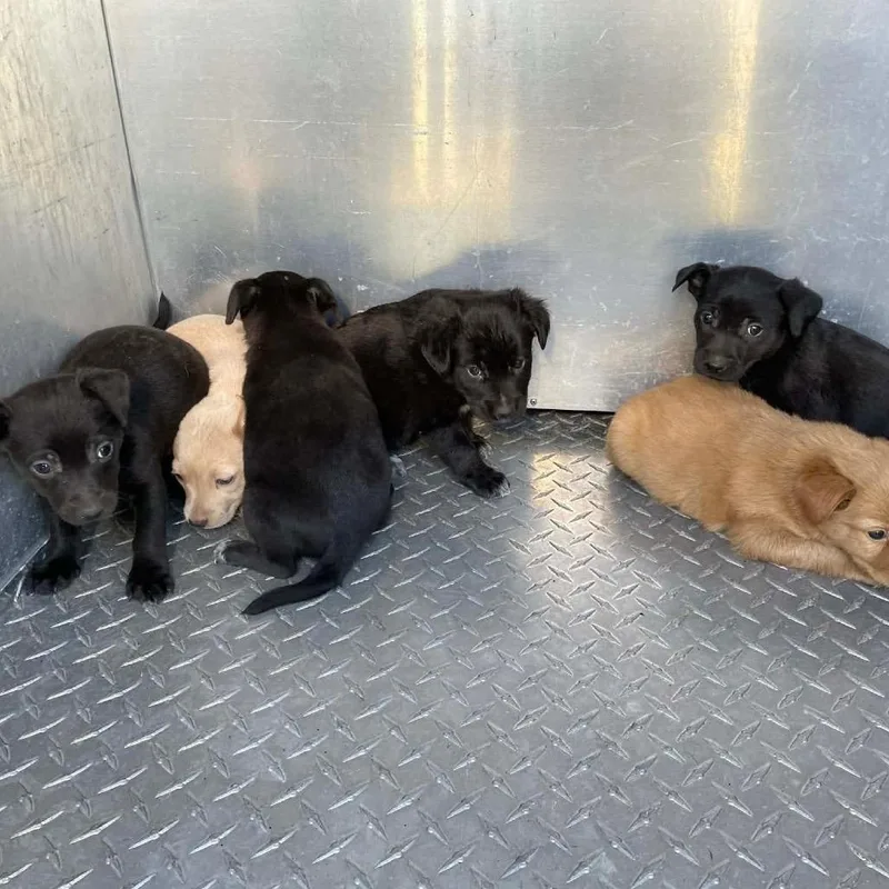 Judd Nelson B thumbnail 6