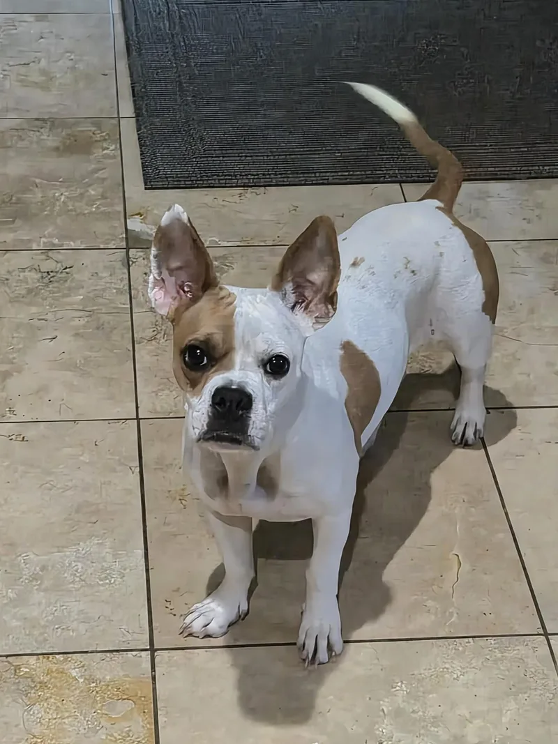 Coco thumbnail 2