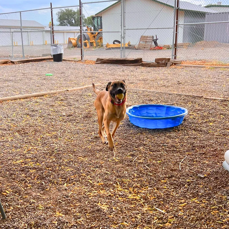 Trudy  Delta thumbnail 2