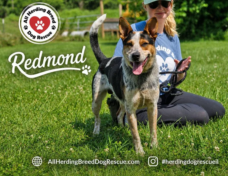 Redmond thumbnail 4