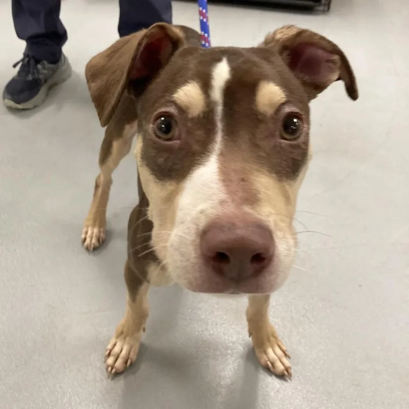 Fernando Lopez thumbnail 2