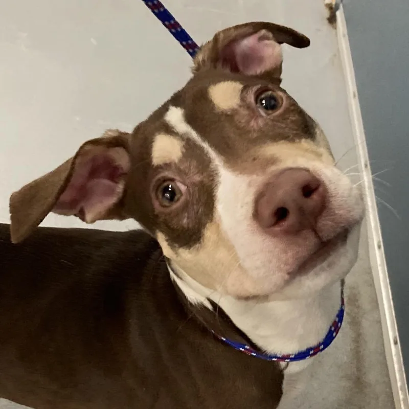 Fernando Lopez thumbnail 3