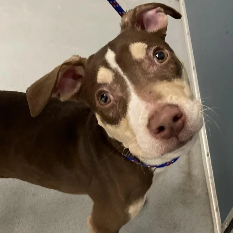 Fernando Lopez thumbnail 4