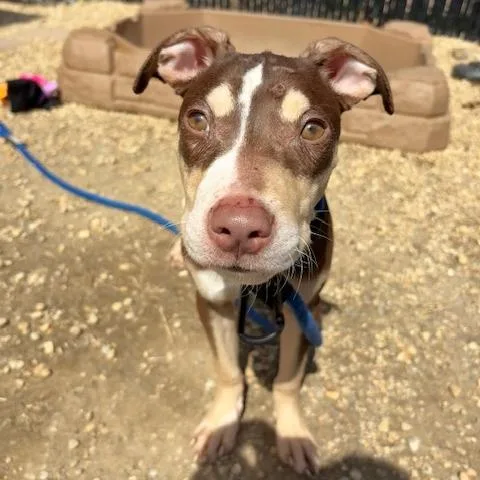 Fernando Lopez thumbnail 5