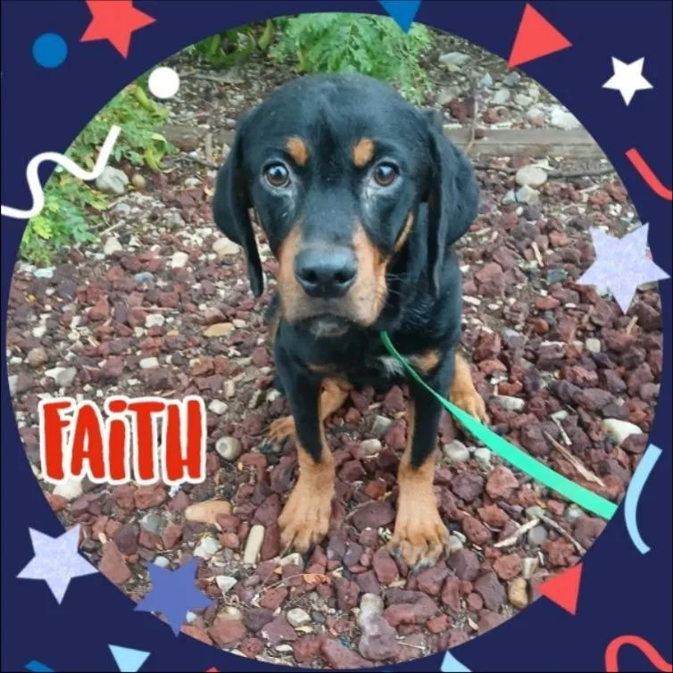 Faith thumbnail 2