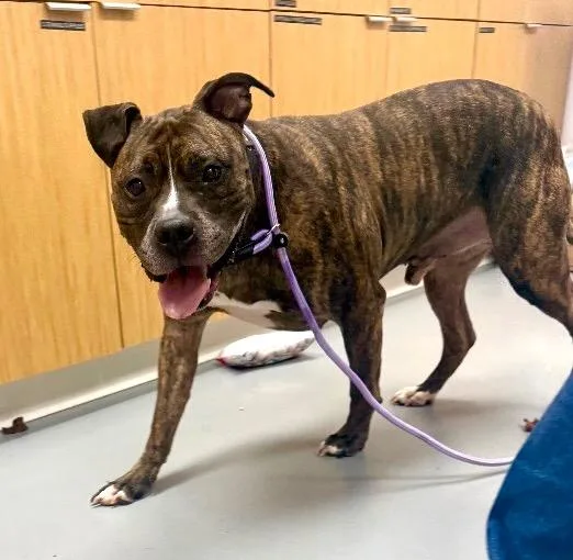 Marcobatman thumbnail 2