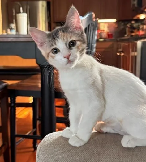 Katy Purry thumbnail 2
