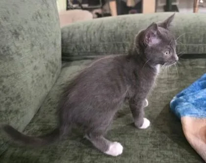 Fuzzy Butt thumbnail 2