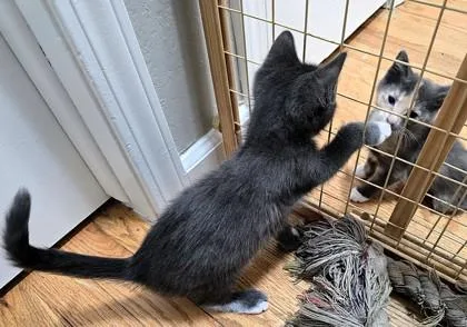 Fuzzy Butt thumbnail 3