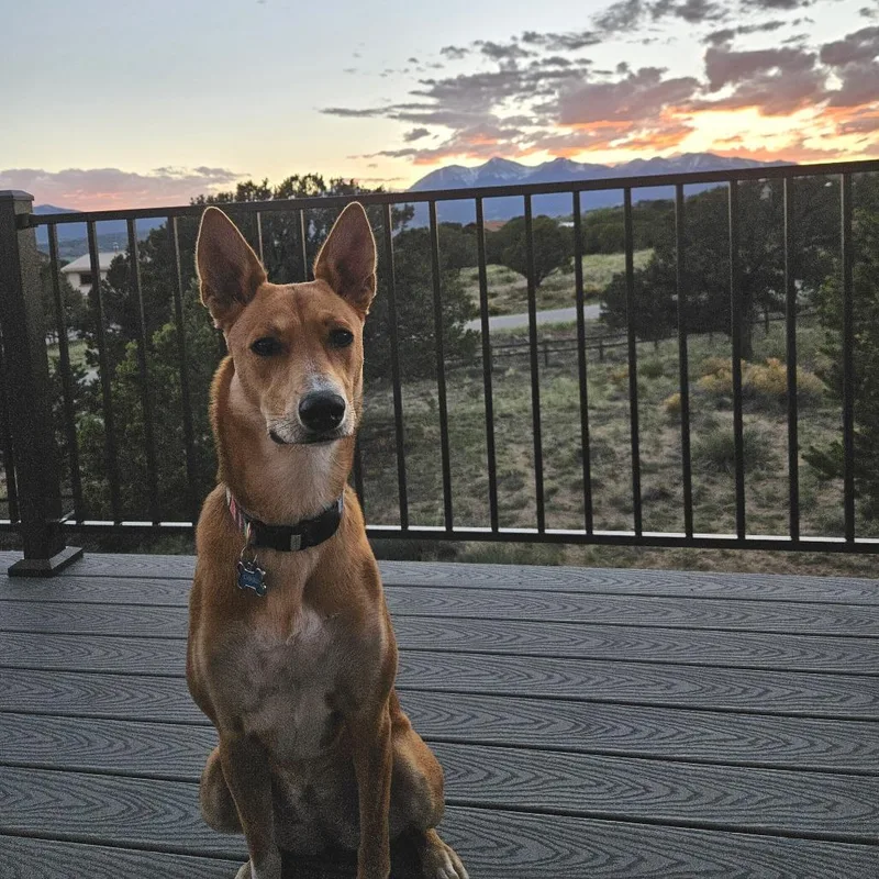 Spiral Notebook thumbnail 2