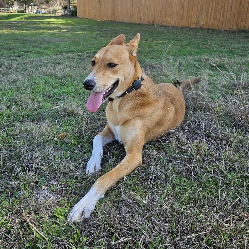 Spiral Notebook thumbnail 3