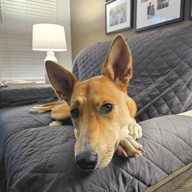 Spiral Notebook thumbnail 4