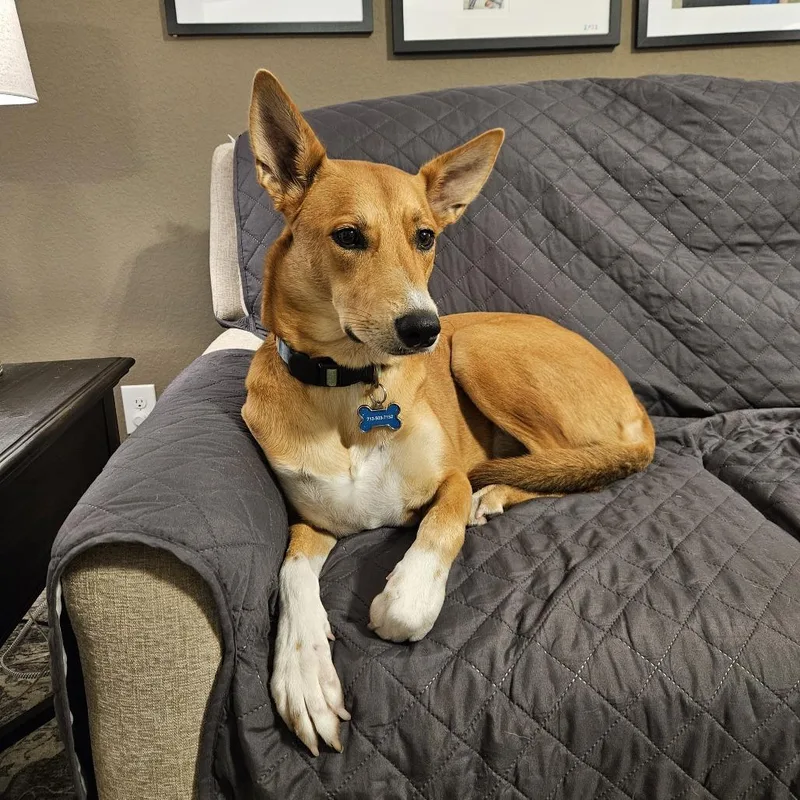 Spiral Notebook thumbnail 5