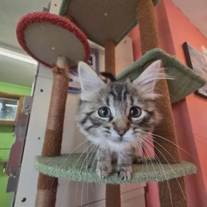 Wrecking Ball thumbnail 3