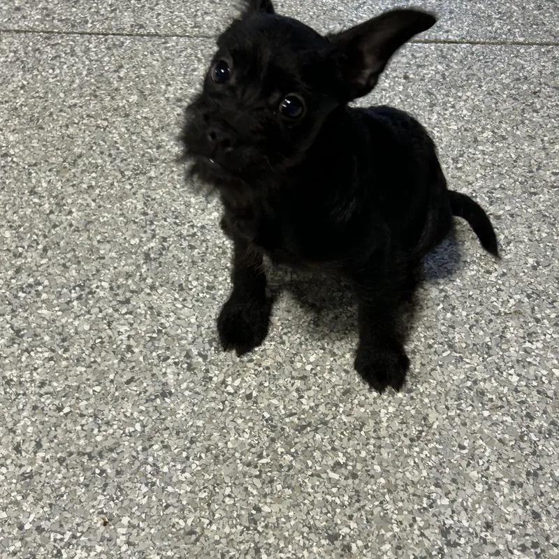 Oh My. . Lbs thumbnail 2