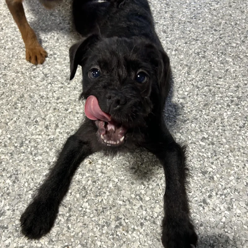 Oh My. . Lbs thumbnail 3