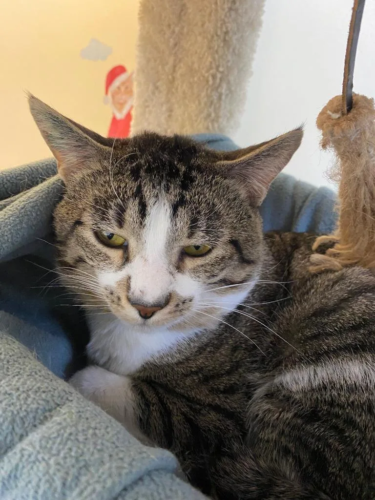 Vanderlind Icc thumbnail 2