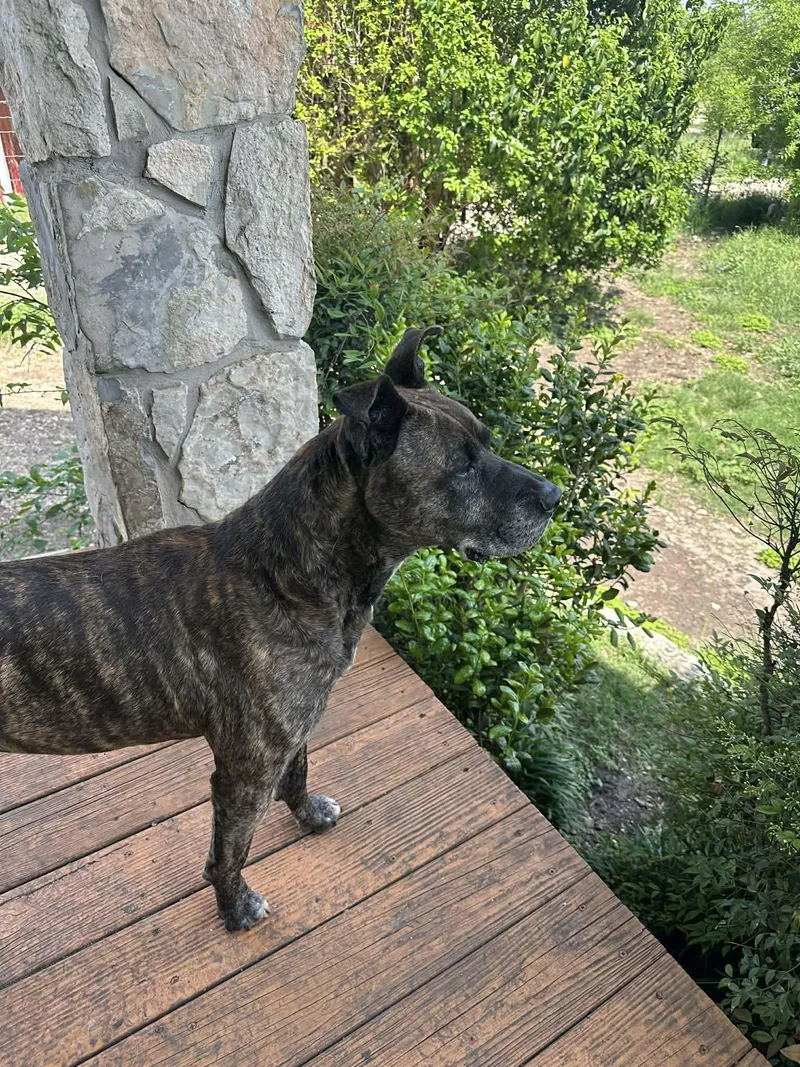 Jack