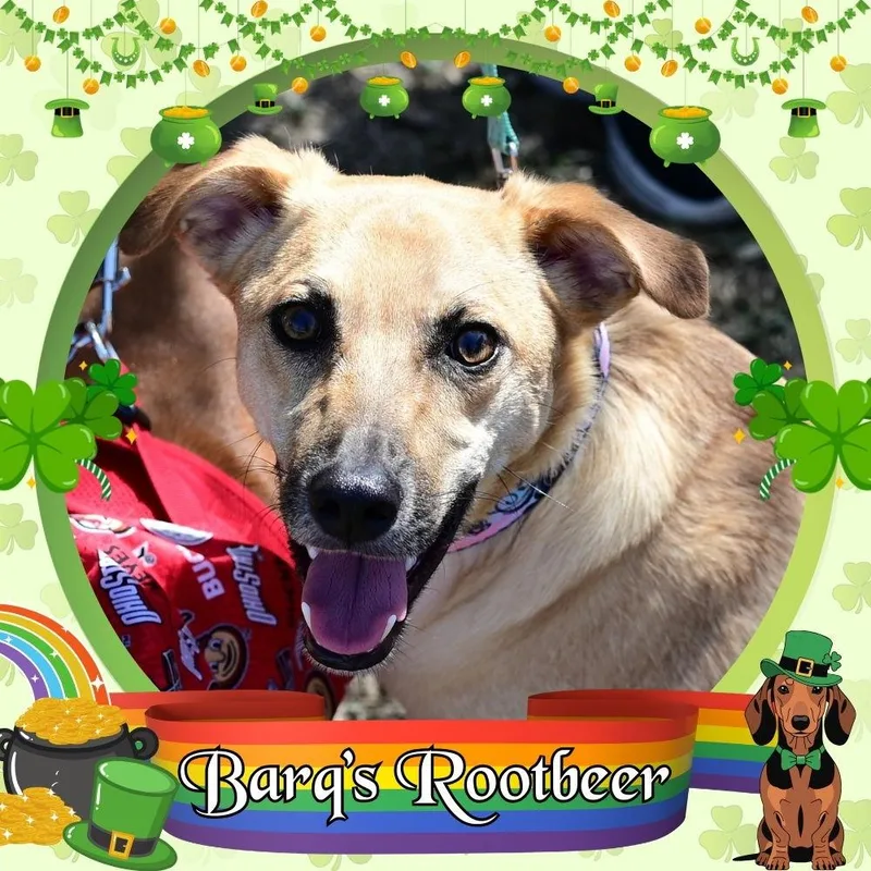 Barq's Root Beer thumbnail 3