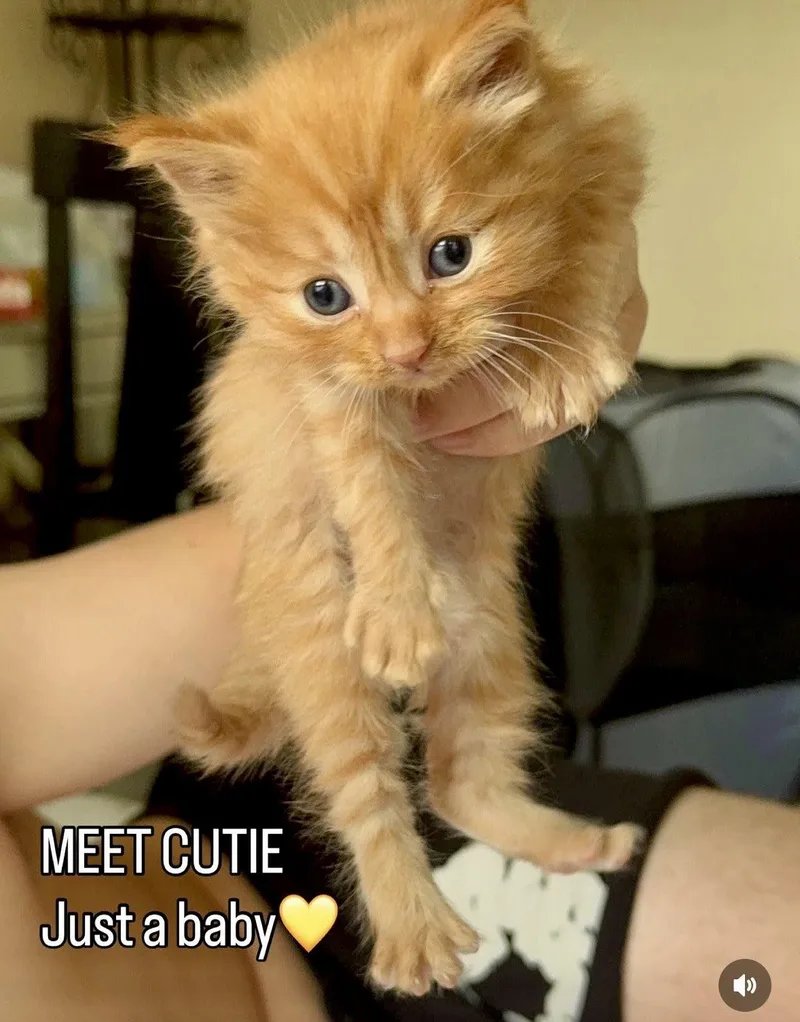 Cutie thumbnail 3