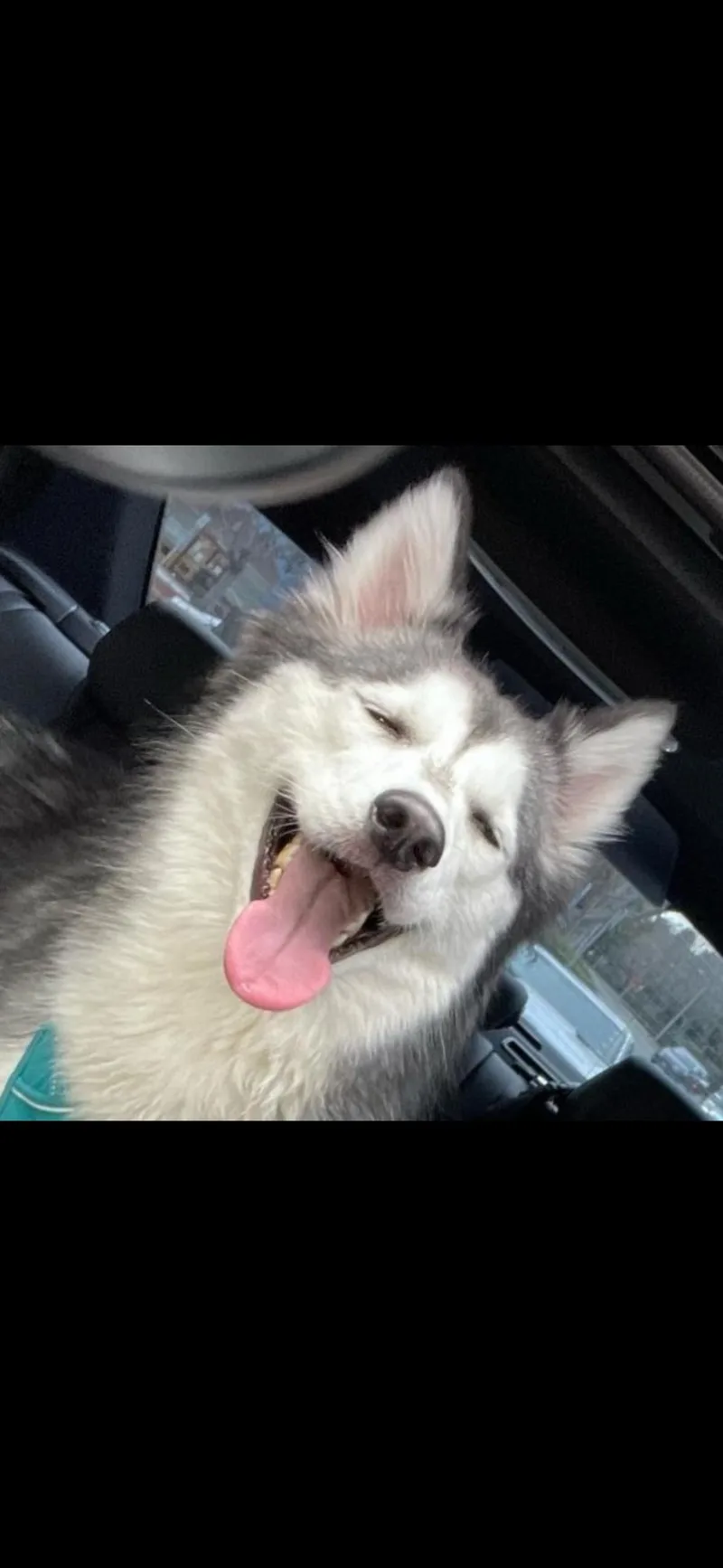 Sasha And Kita thumbnail 3