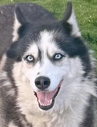 Sasha And Kita thumbnail 5