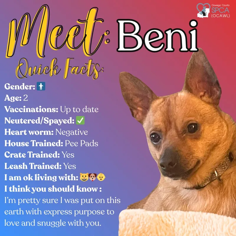 Beni