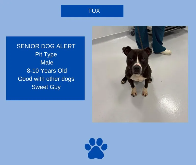 Tux