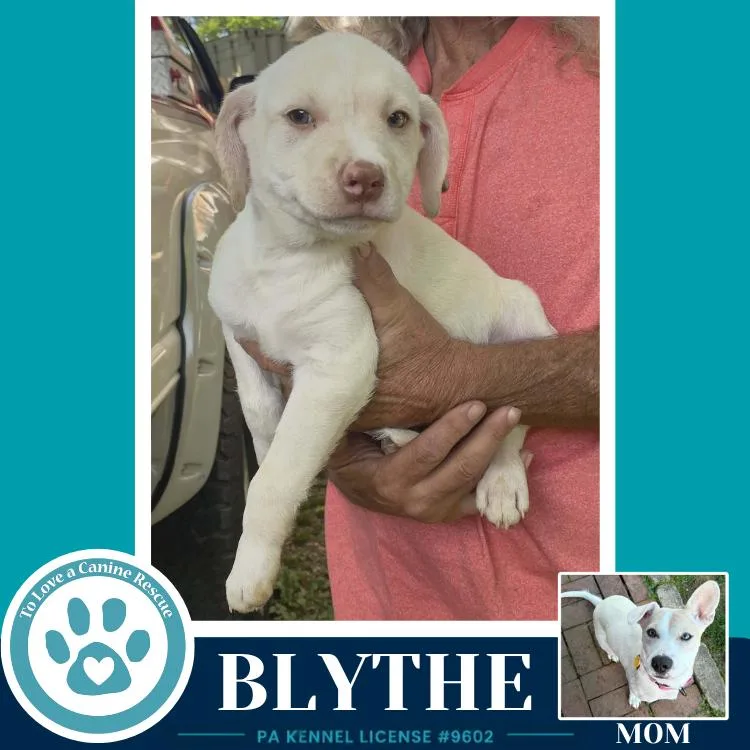 Blythe