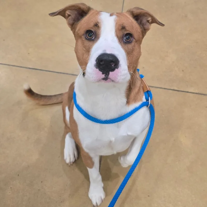 Phyfer  T thumbnail 2