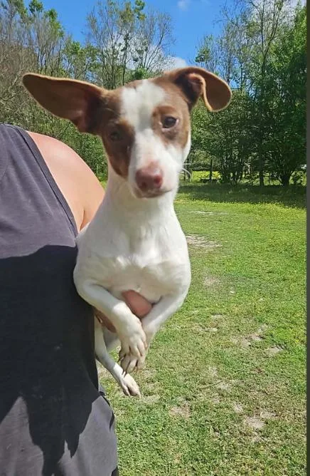 Lunette In La thumbnail 2