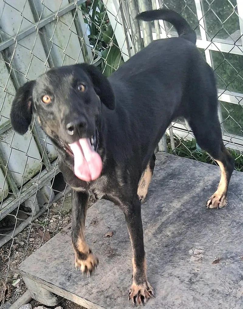 Negrita "will You Love thumbnail 2