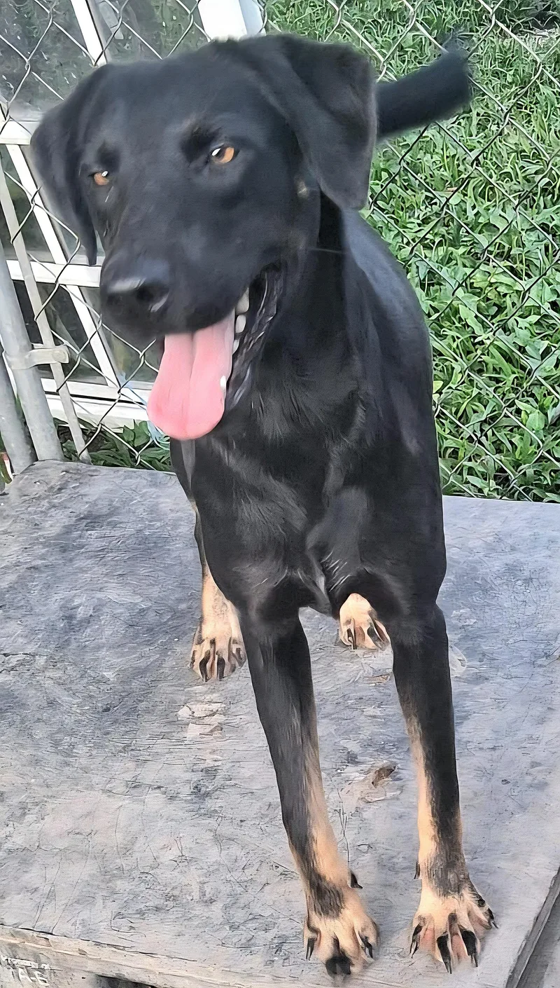 Negrita "will You Love thumbnail 3