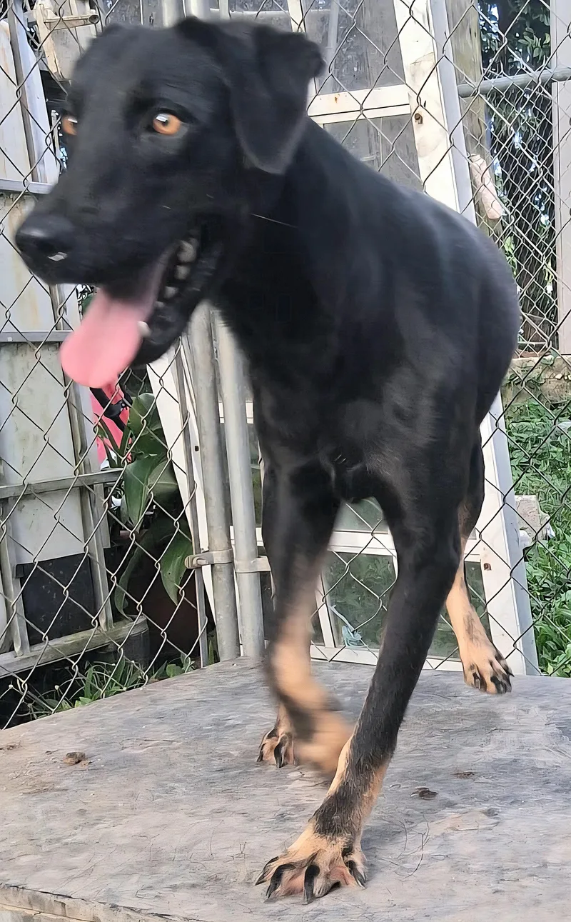 Negrita "will You Love thumbnail 4