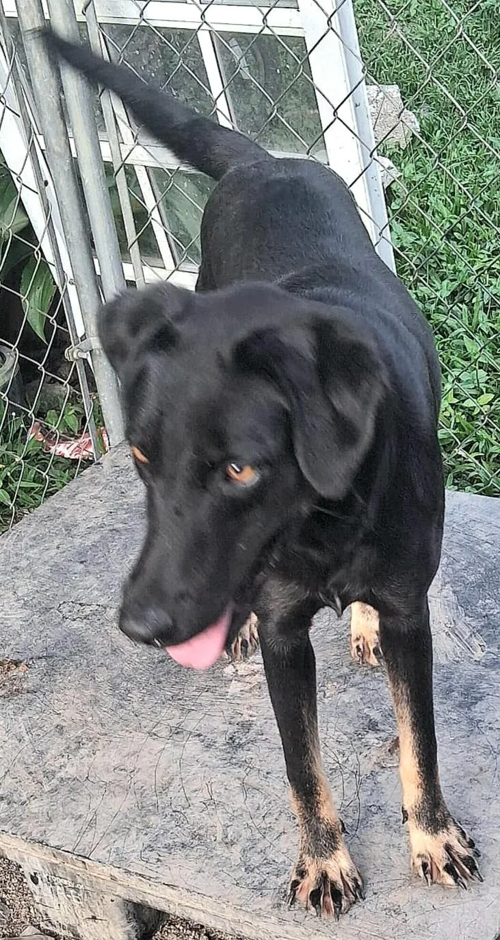 Negrita "will You Love thumbnail 5