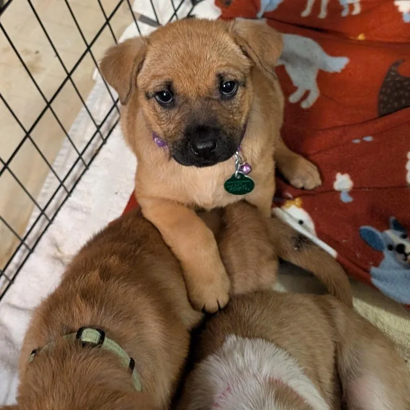 Empress Marie thumbnail 2