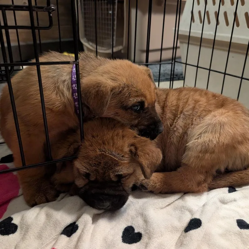 Empress Marie thumbnail 3