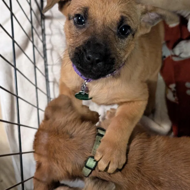 Empress Marie thumbnail 4