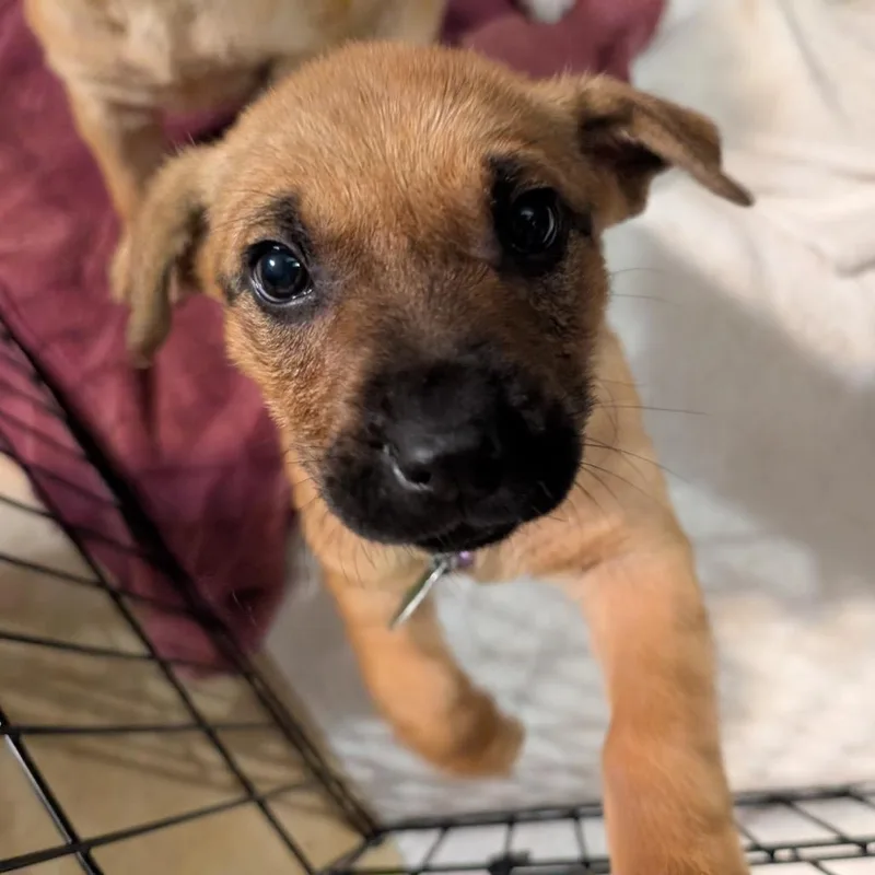 Empress Marie thumbnail 6