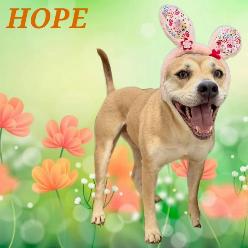 Hope