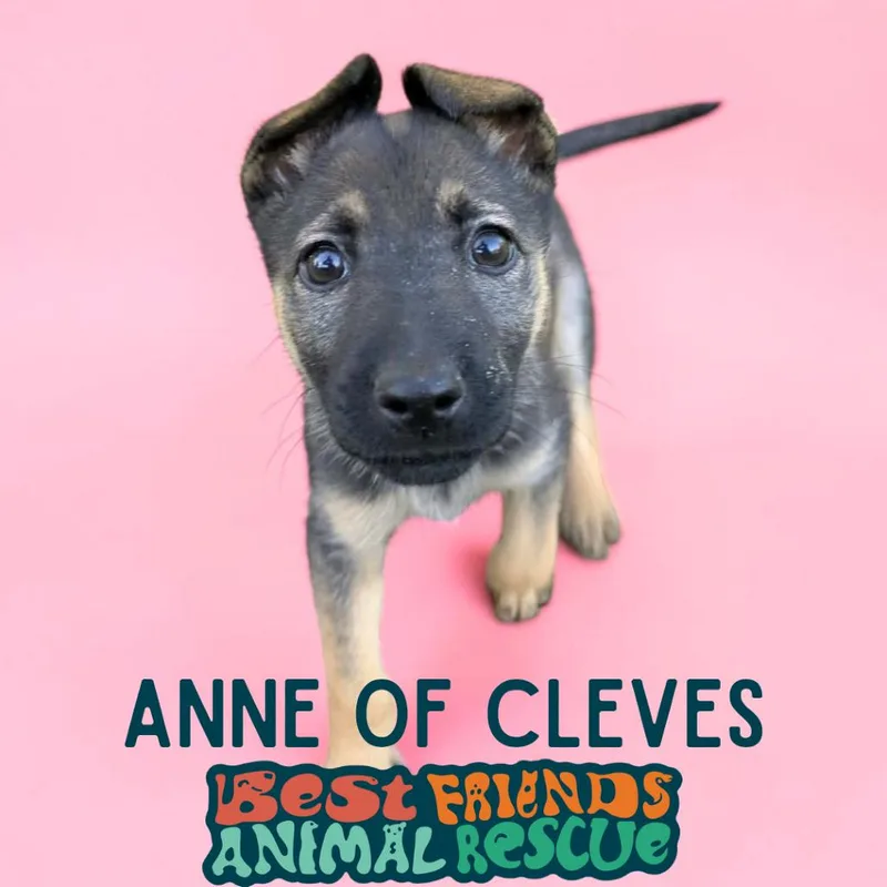 Anne of Cleves thumbnail 2