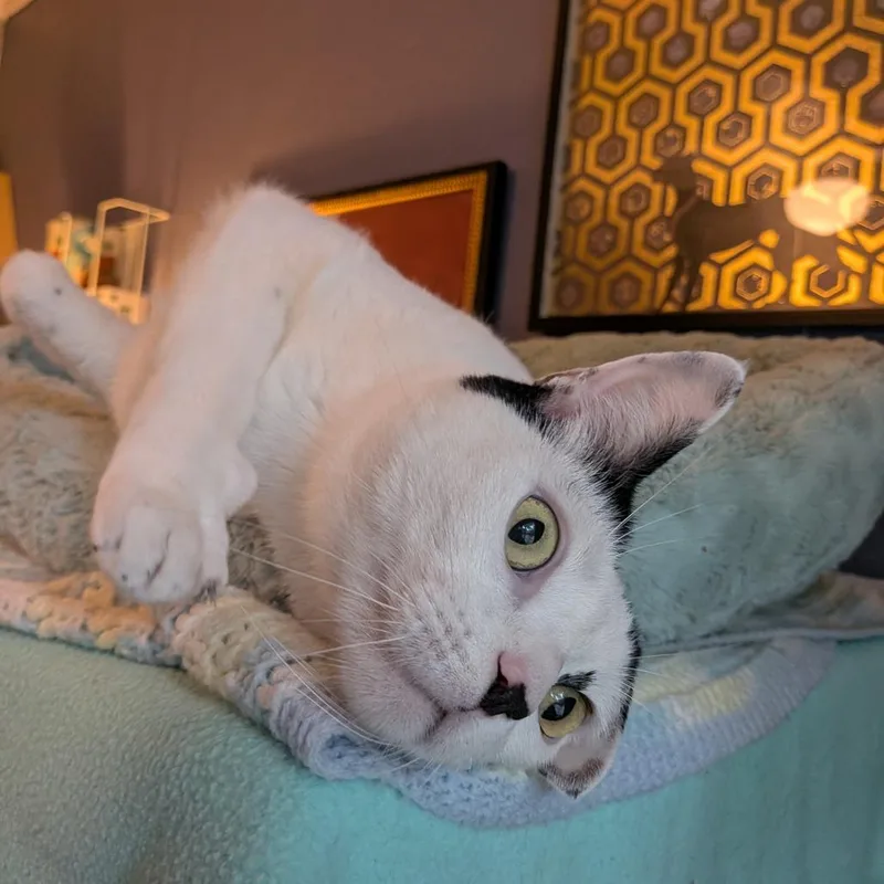 Cloudman thumbnail 2